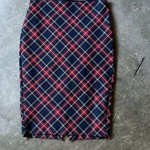 Express Pencil Skirt